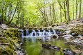 Tollymore Forest Park Newcastle Co Down (11)